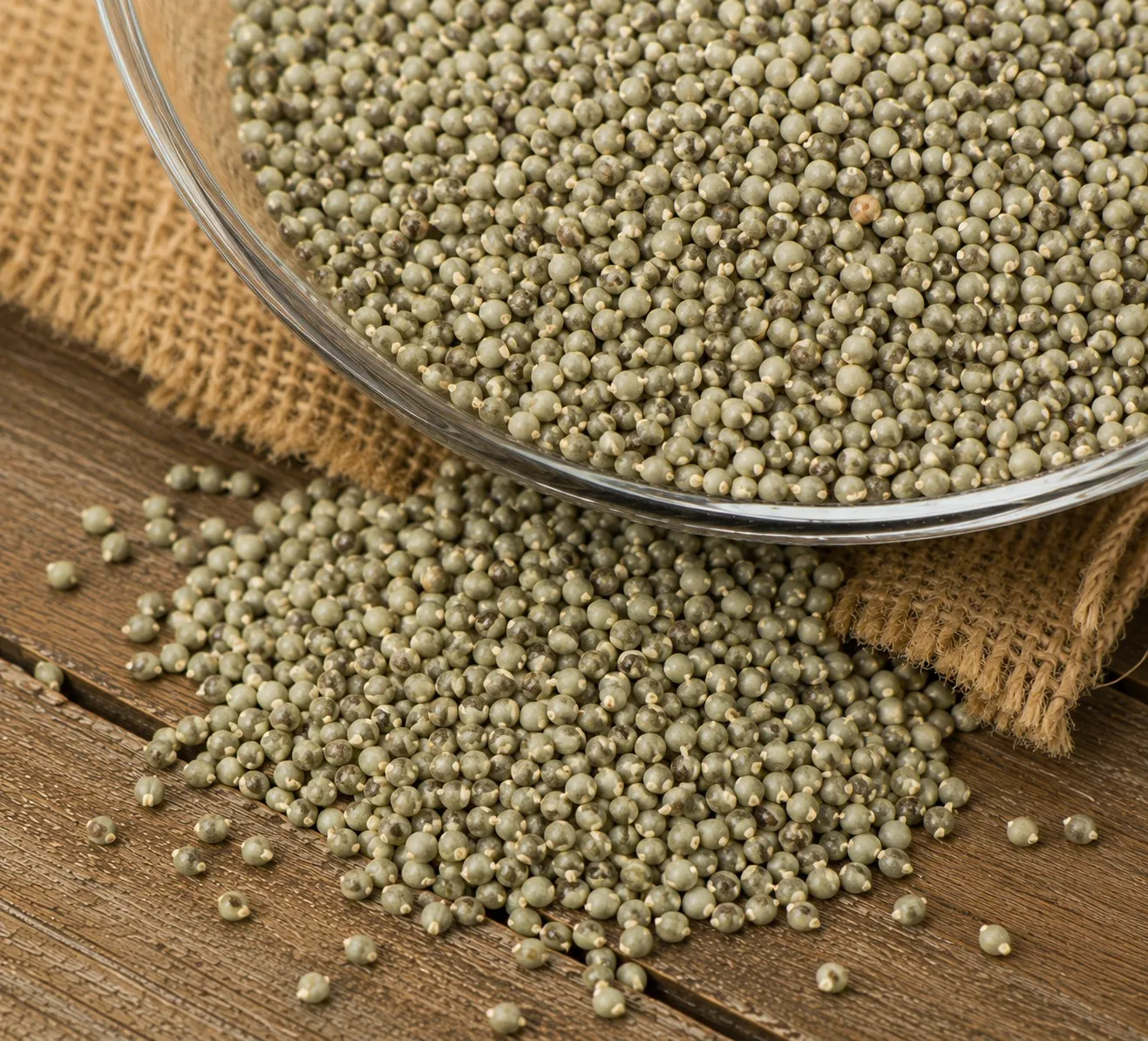 Pearl Millet